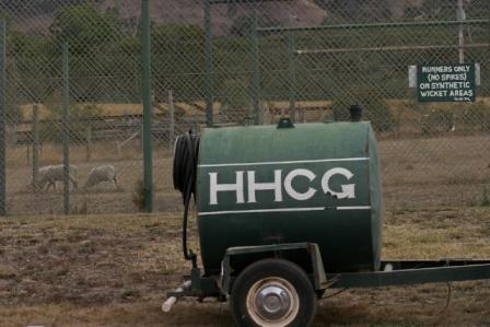 Photo by Margaret Swan