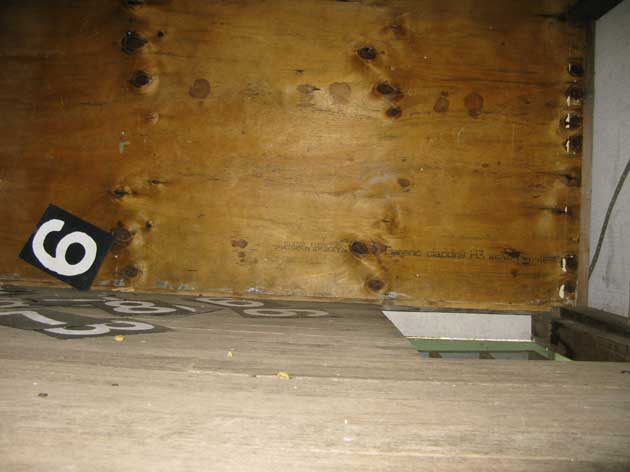 MalmsburySmallTrapdoor