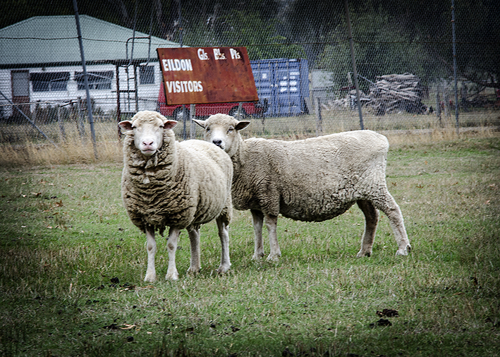 Phtoto by Eric Algra