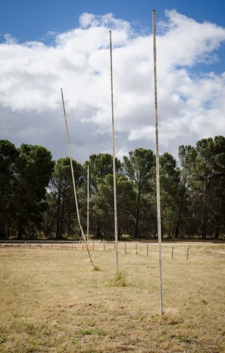 Goal posts in Geranium