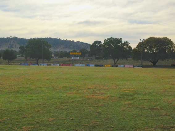 Photo by David Bridie.