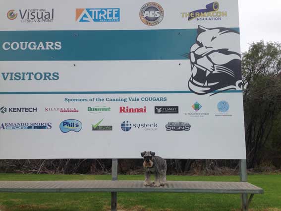 CliftonSmallStraight