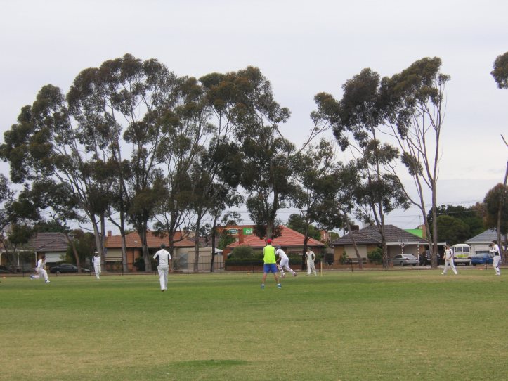 Non-reflective cricket