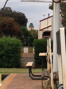 THe tower at the Court Hotel peaks over at the Boulder Bowling Club.