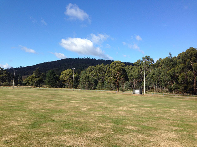 GeevestonOvalSmallDB