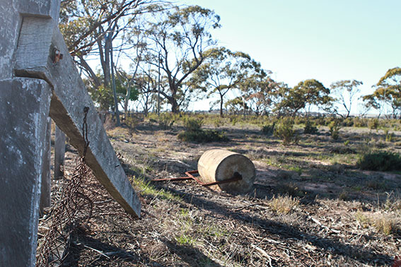 BullaringSmallroller