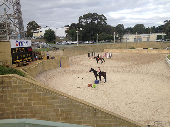 ShowgroundSmallhorses