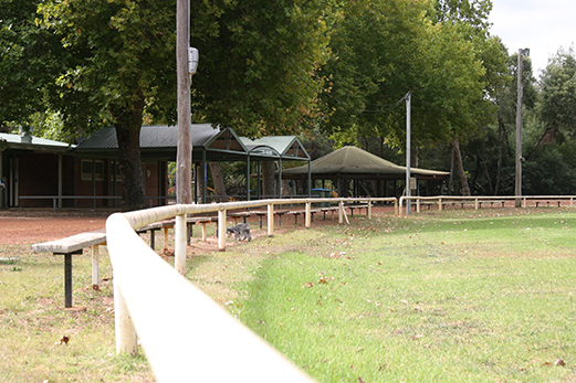 Dwellingupsmallfence