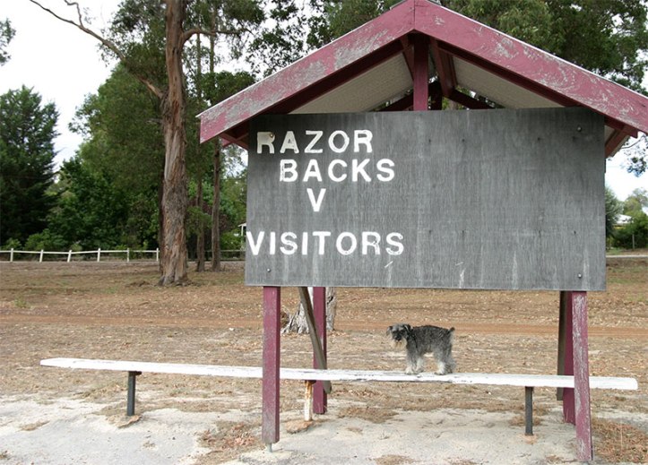 DwellingupsmallFrankie