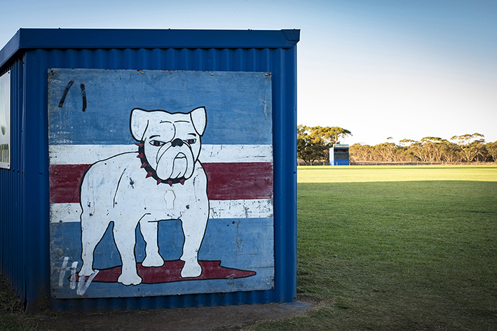 A proud looking Bulldog at Murrayville, just inside the Victorian border.