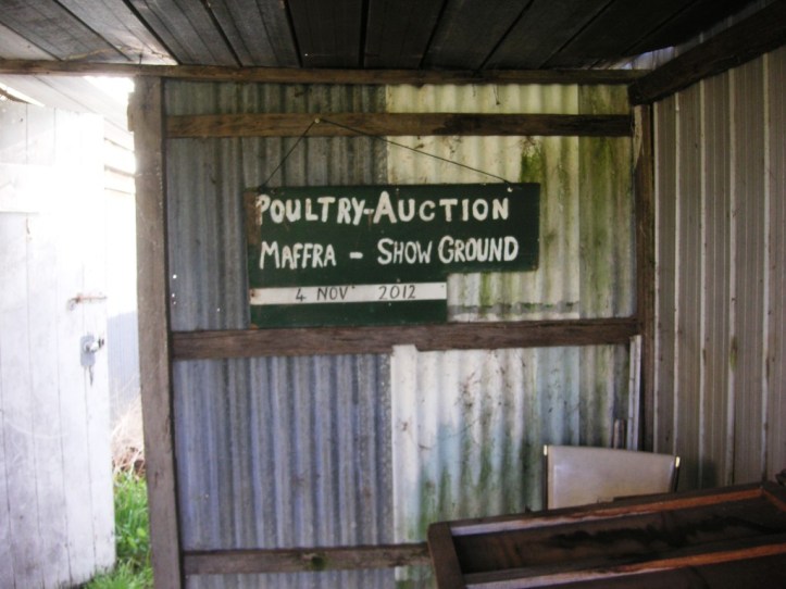 KONICA MINOLTA DIGITAL CAMERA