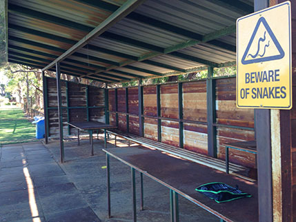 christchurchsmallsnakes