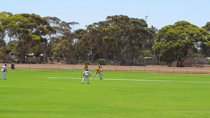 drmorrisonsmallaction