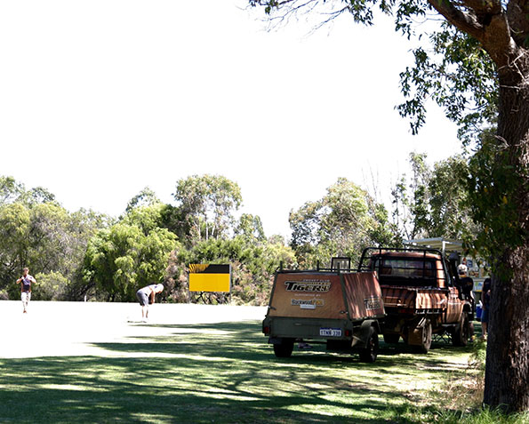 NannupCricketSmallboth