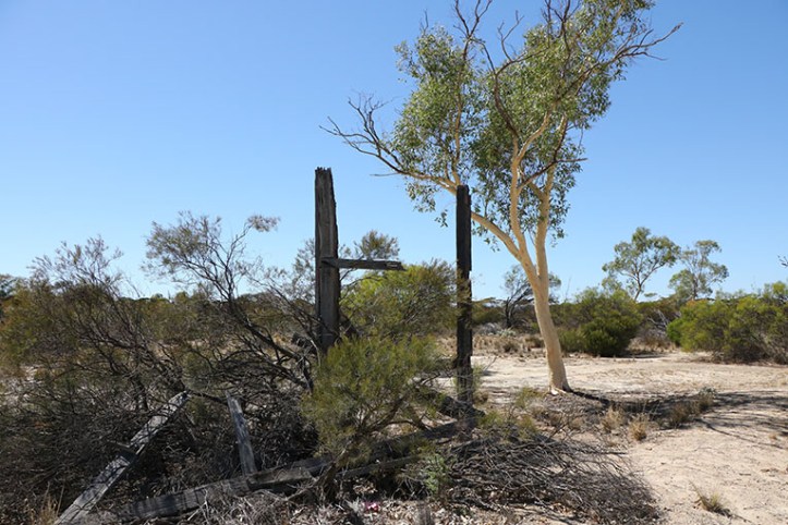 WubinSmallboard3main