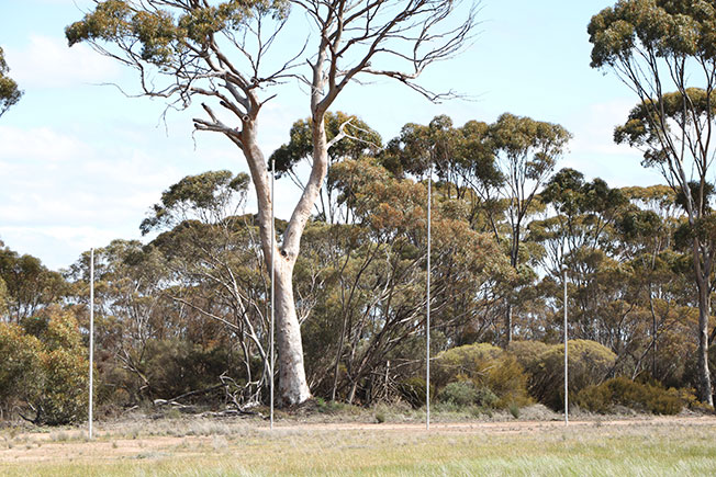 MoulyinningSmallGoals