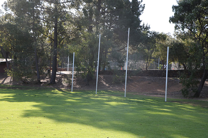 roleystonesmallgoals